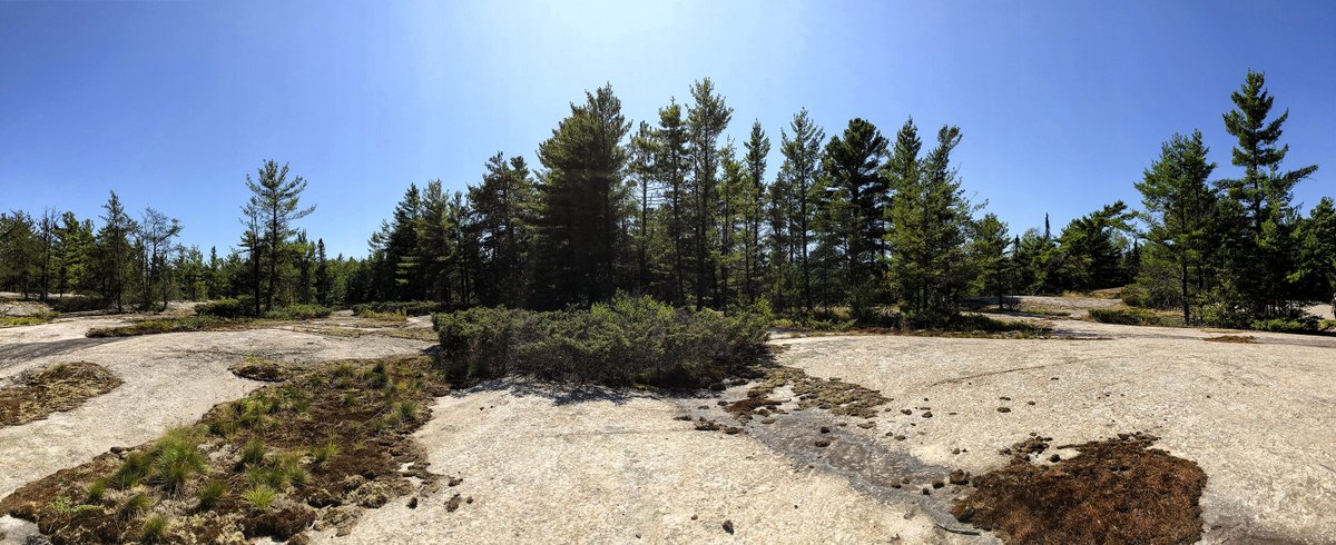 OntarioParksNE tweet picture