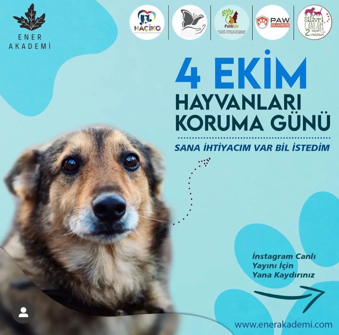 ❌Yaşam alanı ihlal edilen sen değilsin BİL İSTEDİM! 
❌Sen olmasan da ben yaşardım ama senin yüzünden artık sana muhtacım BİL İSTEDİM! 

Hayvan haklarına ve onların sana olan ihtiyacına dikkat çekmek için 4 Ekim Salı akşamı 20:00’de instagram yayınında görüşmek üzere..