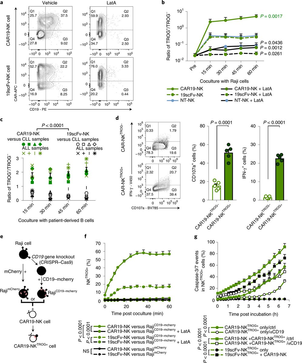Nature Medicine (@naturemedicine) on Twitter photo A new dual-chimeric antigen receptor (CAR) system enhances the antitumor activity of CAR natural killer cells and makes them less susceptible to therapeutic #resistance in preclinical models. <a href="/lab_rezvani/">Katy Rezvani, M.D., Ph.D</a>
#CARNK #therapyresistance
nature.com/articles/s4159… A new dual-chimeric antigen receptor (CAR) system enhances the antitumor activity of CAR natural killer cells and makes them less susceptible to therapeutic #resistance in preclinical models. <a href="/lab_rezvani/">Katy Rezvani, M.D., Ph.D</a>
#CARNK #therapyresistance
nature.com/articles/s4159…