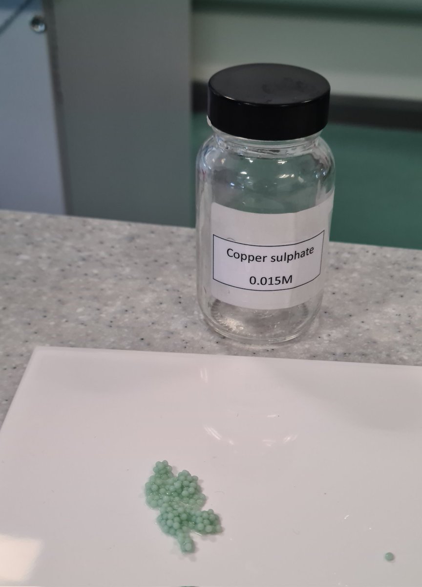 Higher Human were investigating the effect of inhibitors on Enzyme activity this morning 🧑‍🔬👩‍🔬 Great results from everyone!
