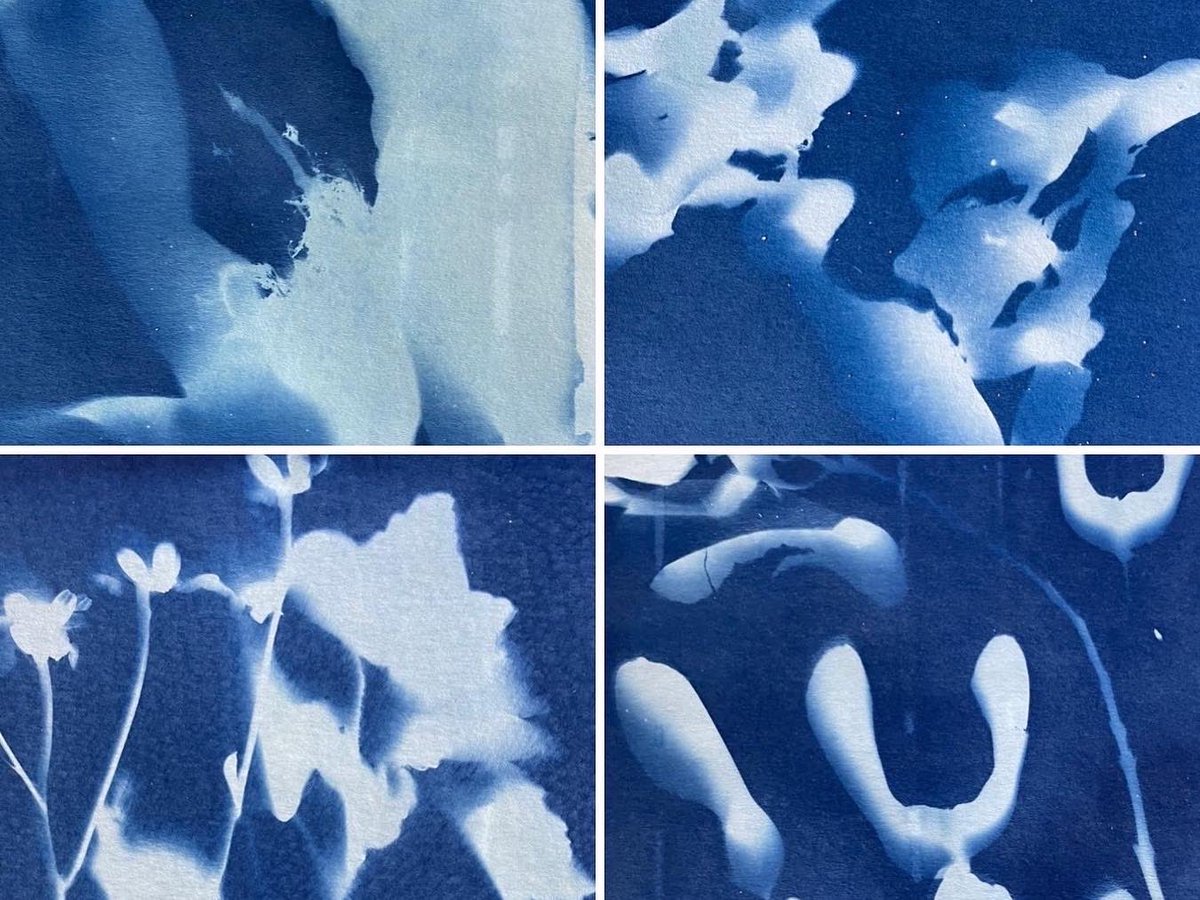 LancasterJane13's tweet photo. Cyanotype kit has arrived #beachschool #forestschool #seahouses #Northumberland #arts #blueseathinking #cyan https://t.co/bgNUDfTiUZ