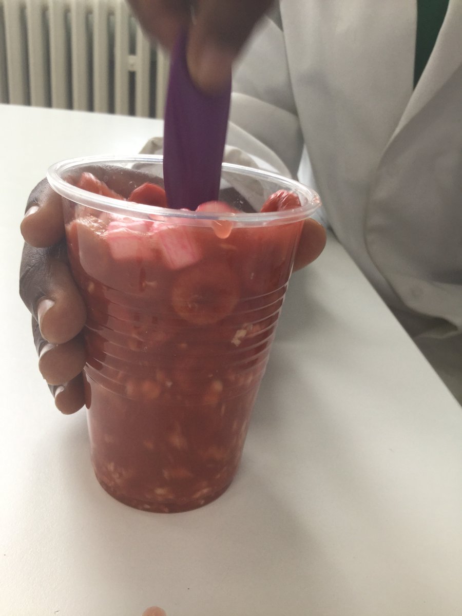 A wonderful start to the autumn term here at Hargrave Park. Highlights have included gardening lessons, creating blood in Lab18 and a Gruffalo crumble party!