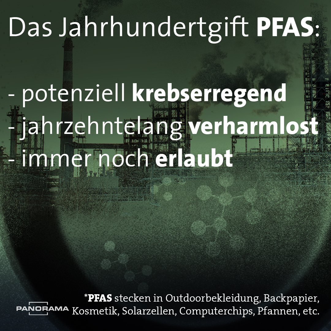 Auf den ersten Blick haben #PFAS eine geniale Eigenschaft: Dinge kleben durch sie nicht aneinander, perlen ab. Aber PFAS sind potenziell krebserregend, wurden jahrzehntelang verharmlost - und sind immer noch erlaubt... <a href="/LeaKBusch/">Lea Busch</a> und <a href="/edeljoe/">johannes edelhoff</a> #PanoramaARD daserste.ndr.de/panorama/archi…