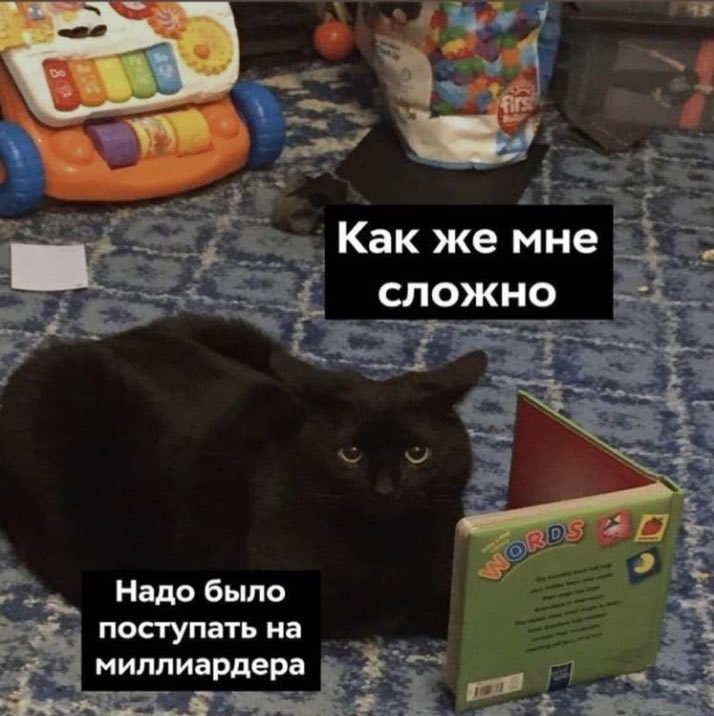смотрю билеты для экзамена на разряд: