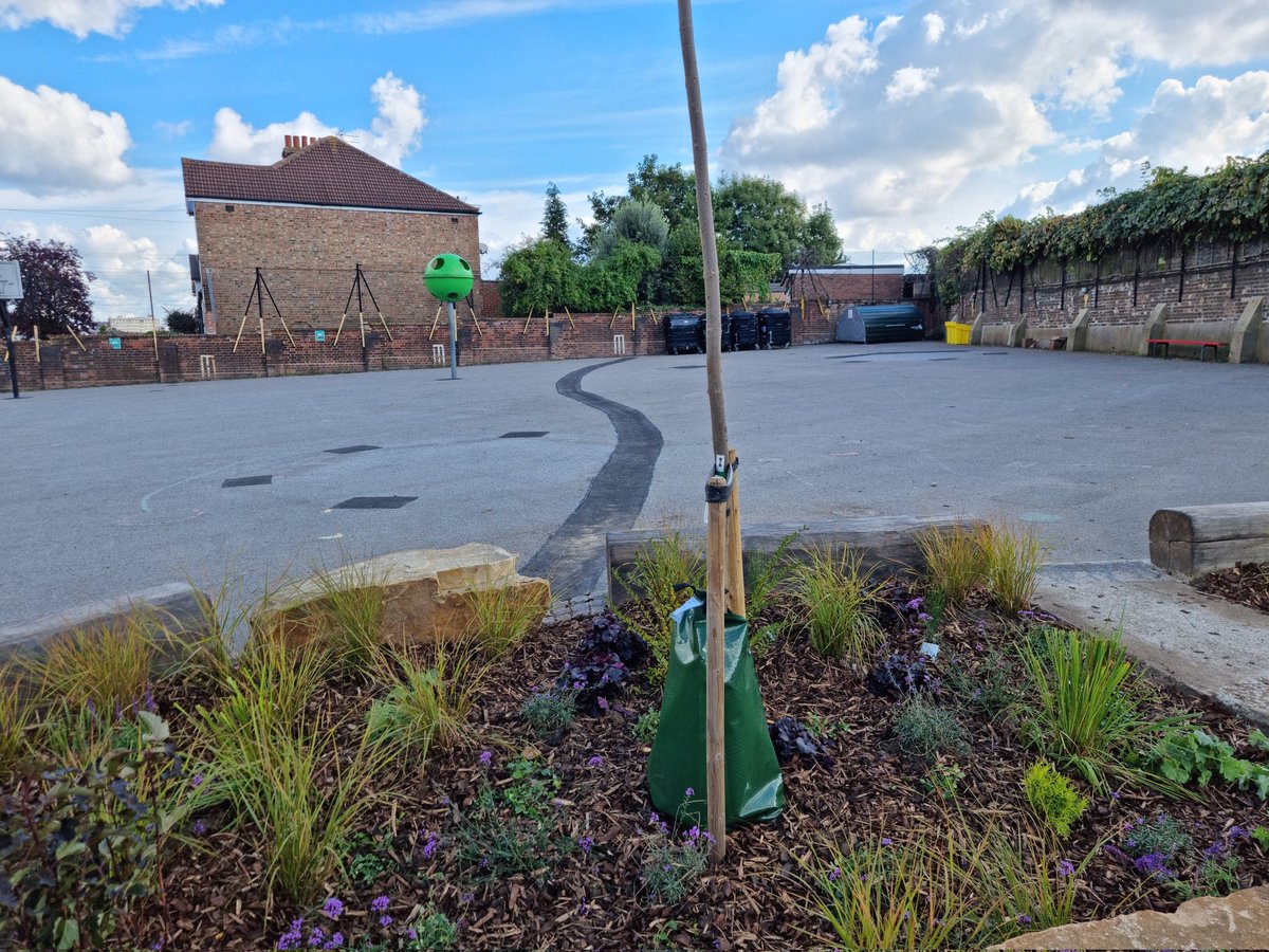 MattMWater's tweet photo. Had the pleasure of seeing the recently completed #SuDS in school project today at @1oakthorpe. The head teacher and the children are so passionate about sustainable drainage. It was an absolute privilege. Keep up the great work @1oakthorpe 👏🌲 https://t.co/sRiIC4Yslt