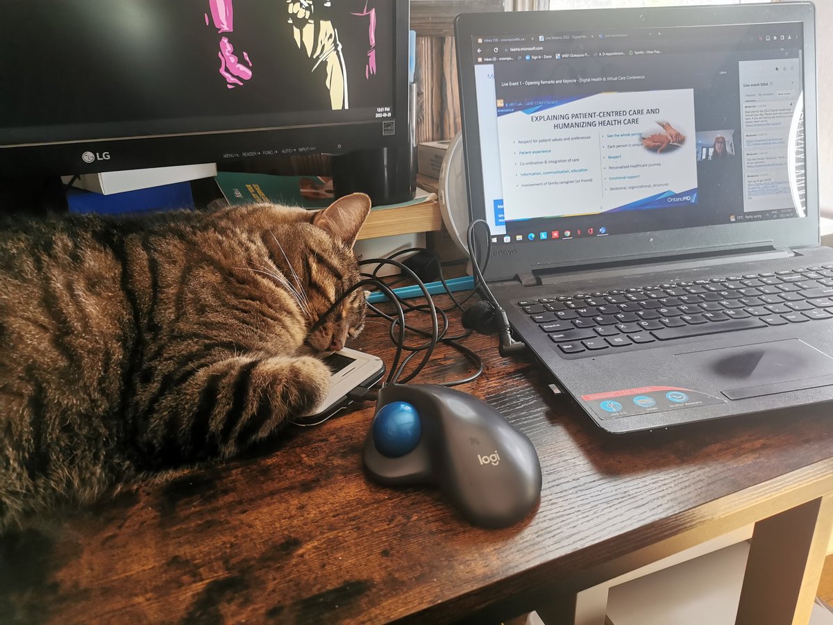 DawnAtwell2's tweet photo. The cat may not be excited about this year's OMD Digital Health and Virtual Care Conference but I know I am! #omdvirtual https://t.co/mKEshyD3Pv