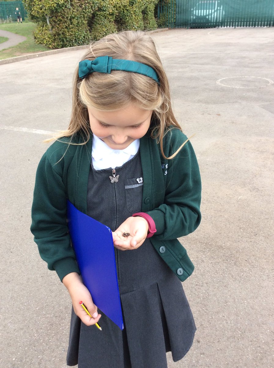 BeechClass_RE's tweet image. Beech class conducted an invertebrate hunt this week. The children found worms, spiders and ants as well as a snail! Although no creatures were harmed, they were definitely elusive! 😀