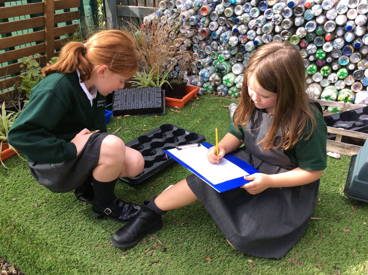 BeechClass_RE's tweet image. Beech class conducted an invertebrate hunt this week. The children found worms, spiders and ants as well as a snail! Although no creatures were harmed, they were definitely elusive! 😀