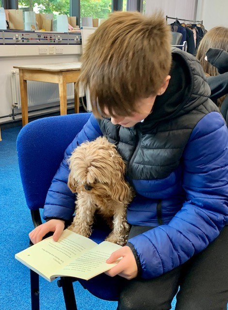 PupilSupportDGS's tweet image. Reading to dogs helps  develop literacy skills and build confidence, for many pupils, reading aloud can be a bit intimidating or even stressful. A calm dog creates a comfortable, relaxed atmosphere. Dogs enjoy attention and cosy up to our readers.