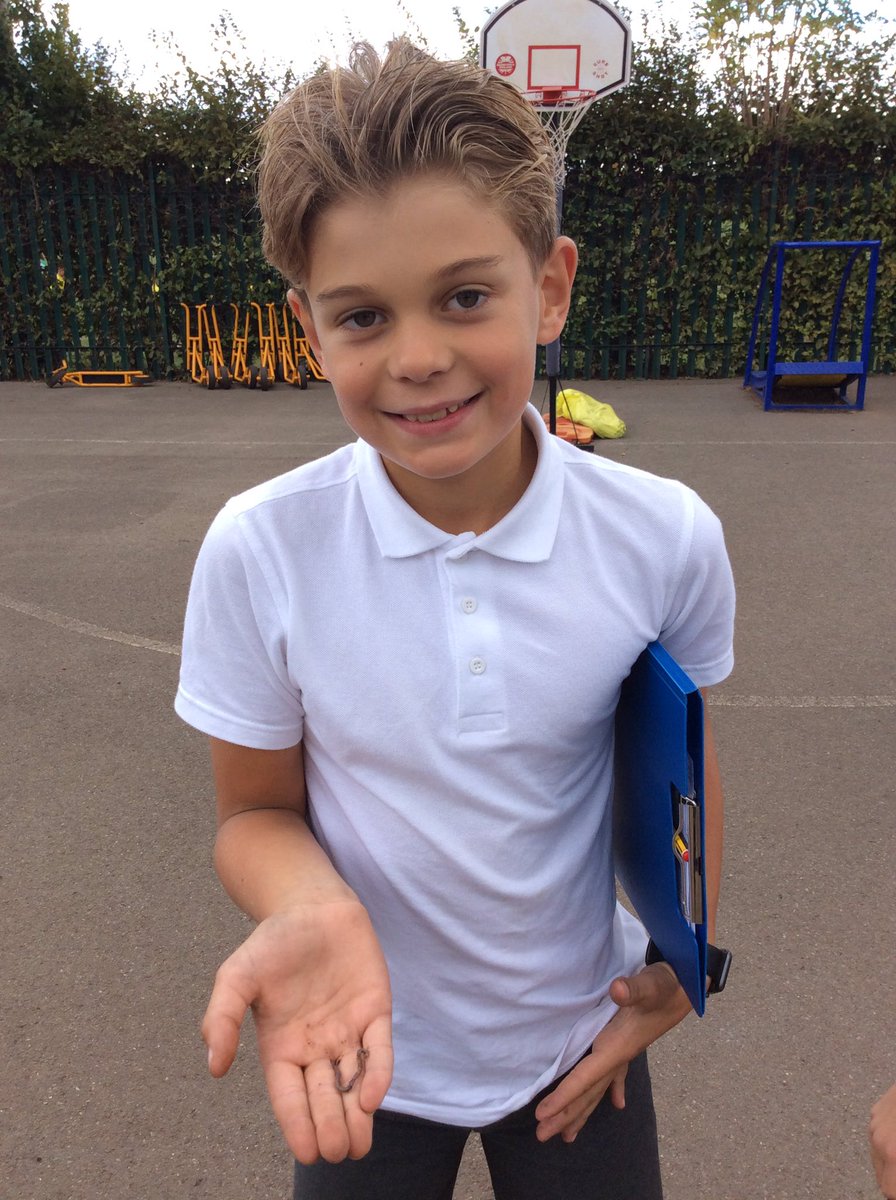 BeechClass_RE's tweet image. 