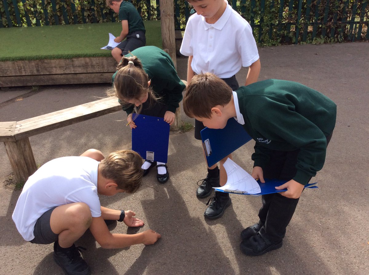 BeechClass_RE's tweet image. 