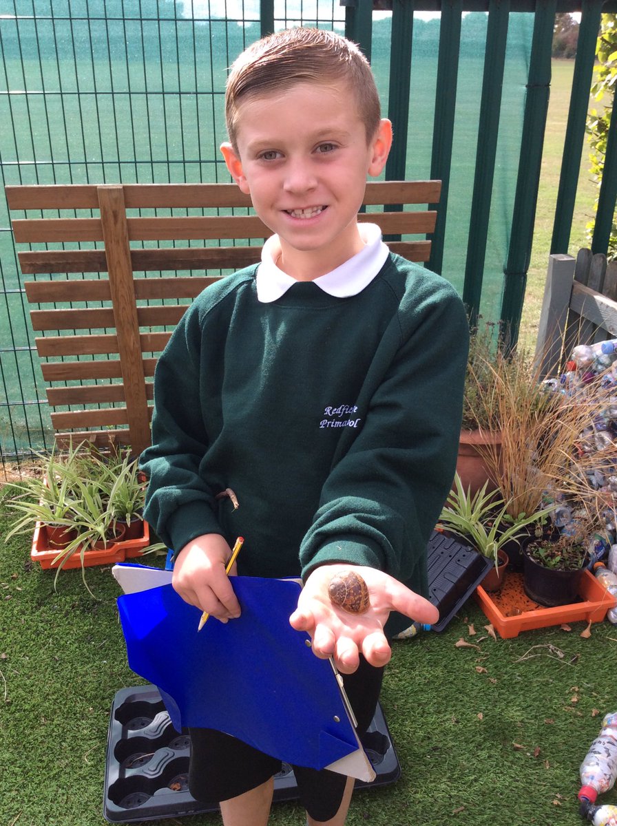 BeechClass_RE's tweet image. 