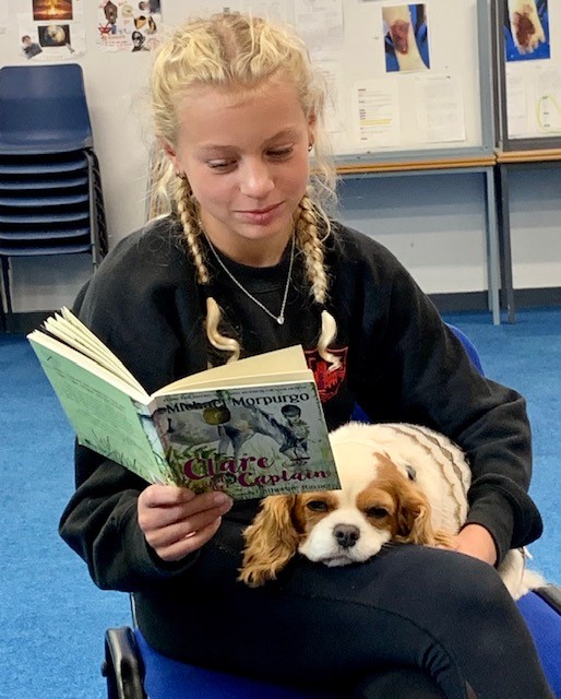PupilSupportDGS's tweet image. Reading to dogs helps  develop literacy skills and build confidence, for many pupils, reading aloud can be a bit intimidating or even stressful. A calm dog creates a comfortable, relaxed atmosphere. Dogs enjoy attention and cosy up to our readers.
