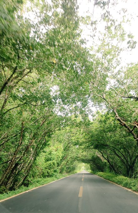 Adivinen d&oacute;nde estoy https://t.co/EySNOtvAZR