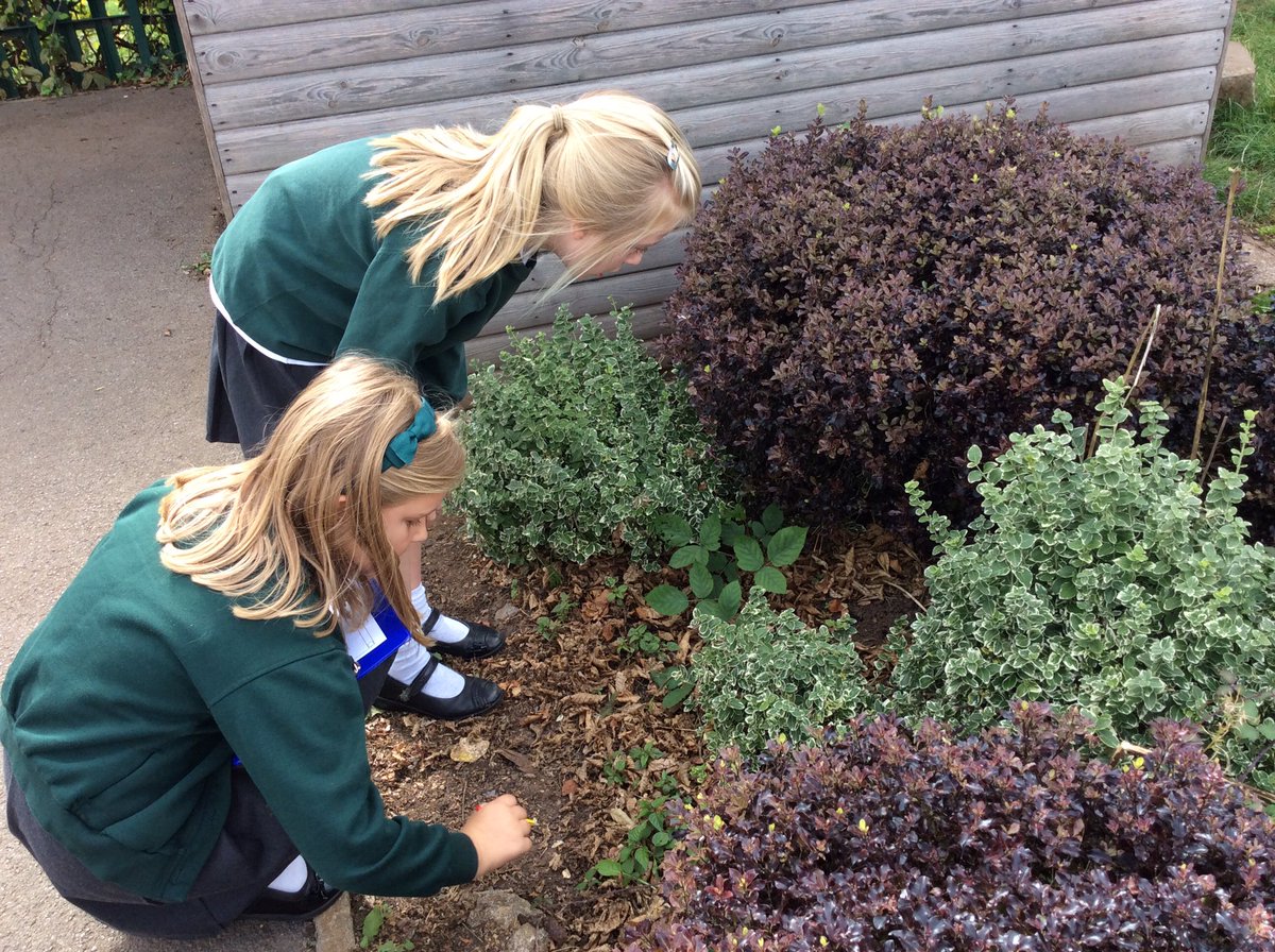 BeechClass_RE's tweet image. 