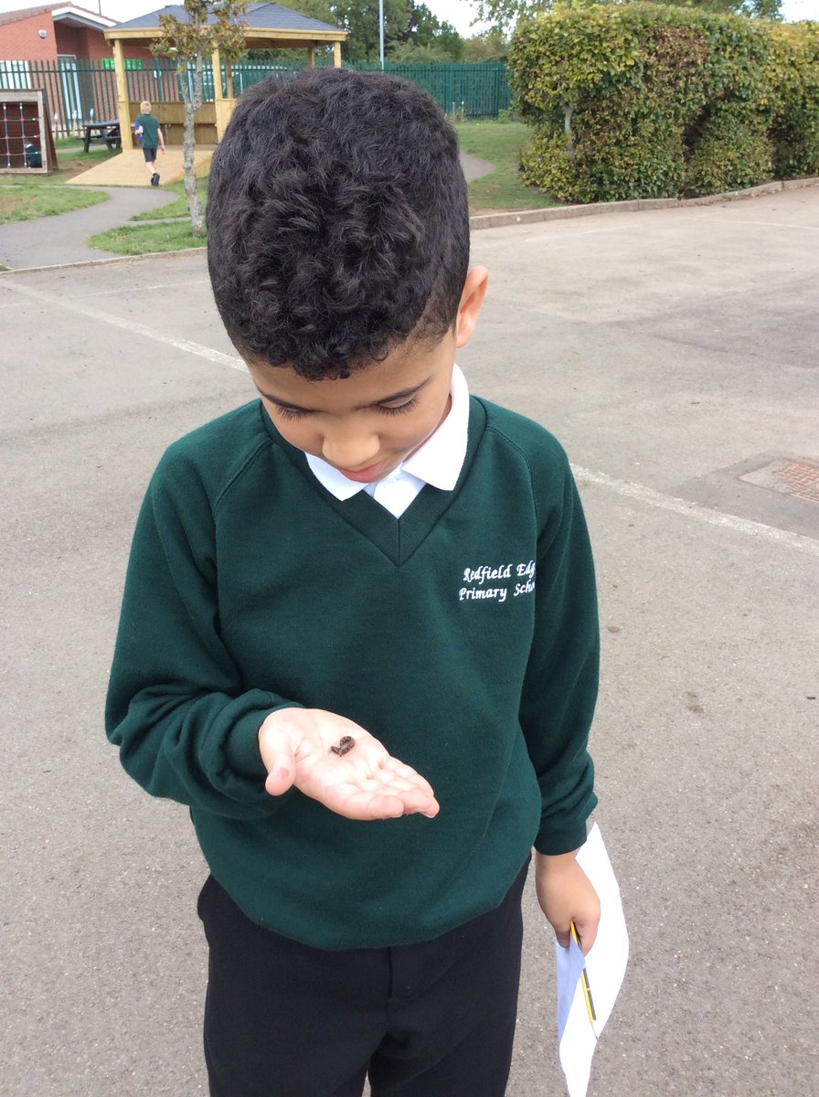 BeechClass_RE's tweet image. 