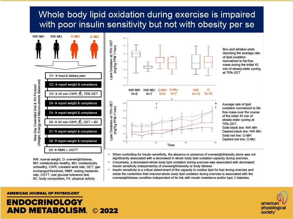 APSPublications's tweet photo. Whole body lipid oxidation during #exercise is impaired with poor insulin sensitivity but not with #obesity per se (Arad et al. @IcahnMountSinai) - new in @AJPEndoMetab 

https://t.co/DwIrXOjp2a

#insulinresistance #lipidoxidation #metabolichealth https://t.co/aKYOJUGWId