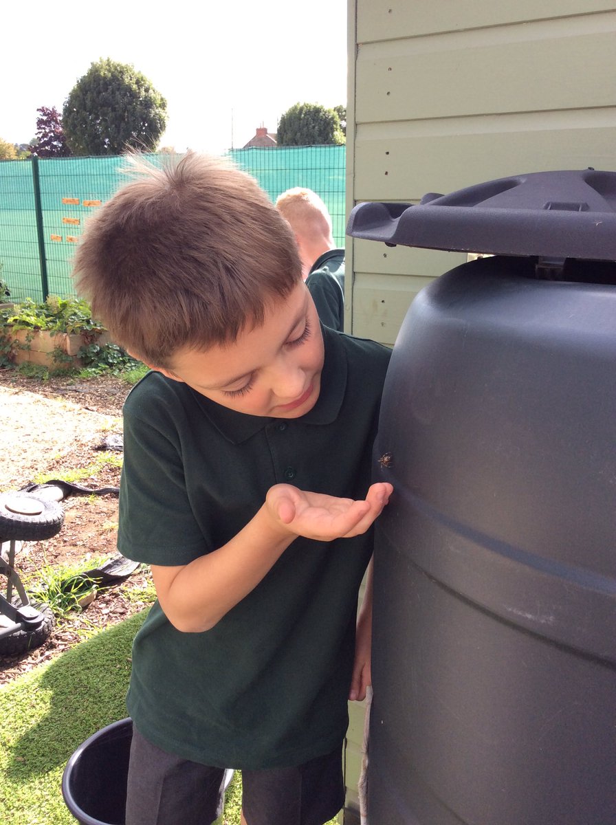 BeechClass_RE's tweet image. 