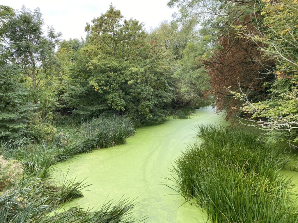 GeoHazards's tweet photo. Productive few days @EnvAgency office in Brampton discussing the Great Ouse SIS! Alconbury Brook didn’t seem too happy though… https://t.co/tcLdLSjkRv
