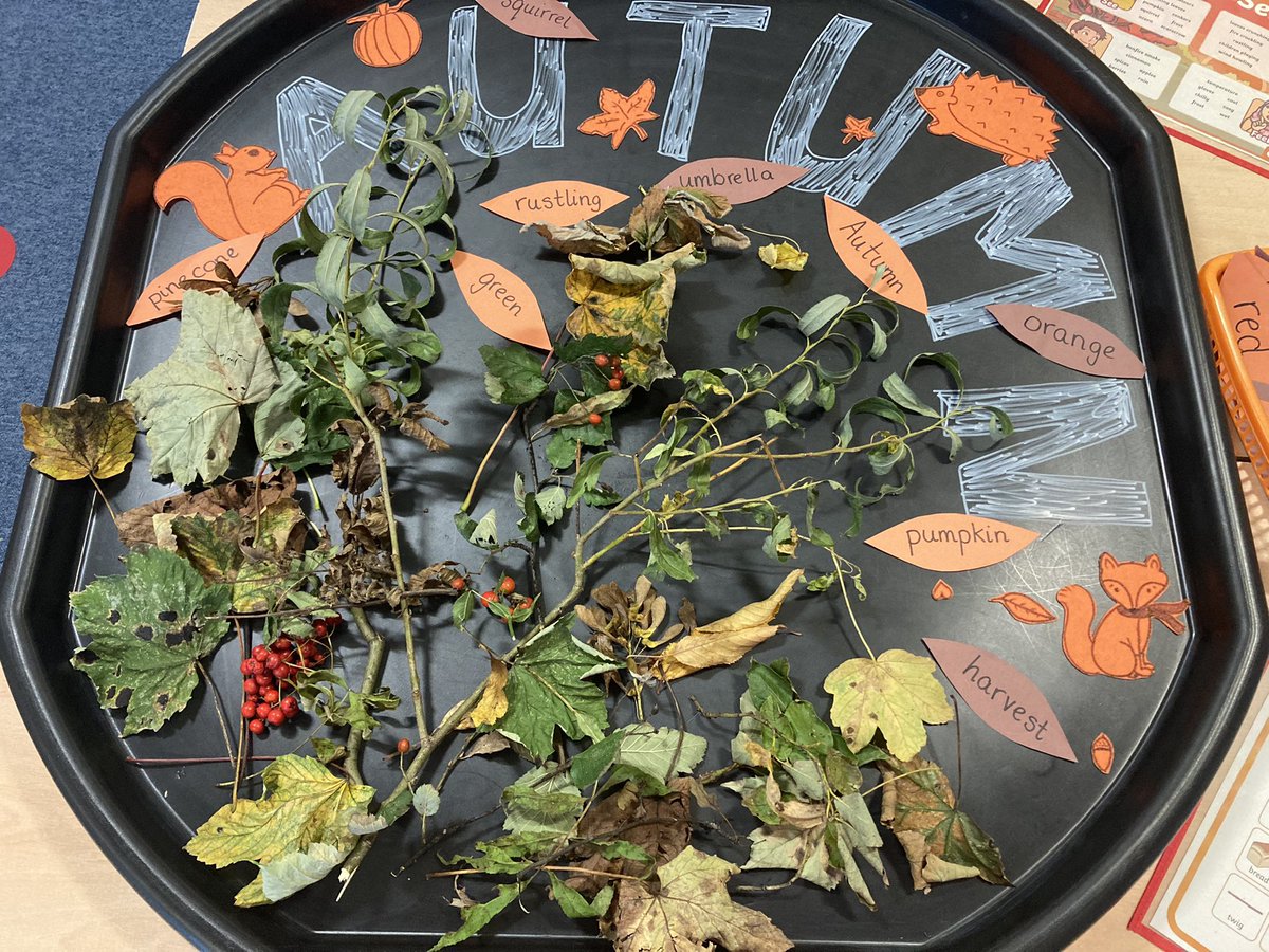 Autumn tuff tray .. today we went on a walk to our local park and found an apple tree, so now there are lots of tiny apples in our tuff tray too! 🍁🍏🍂