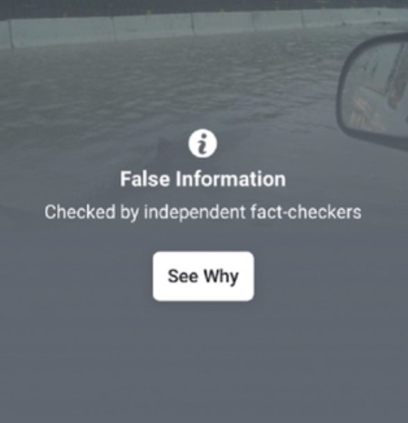 river tweet media