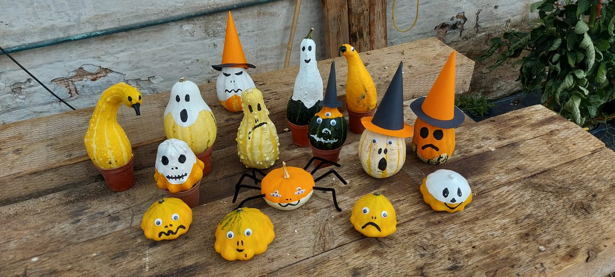 GOURDS GOURDS GOURDS GALORE! Will you be joining us for our spooktacular Gourd Pick Your Own on 9th Oct? Head over to our FB page to book via the eventbrite link.
#Halloween #PickYourOwn #seasonalgourds