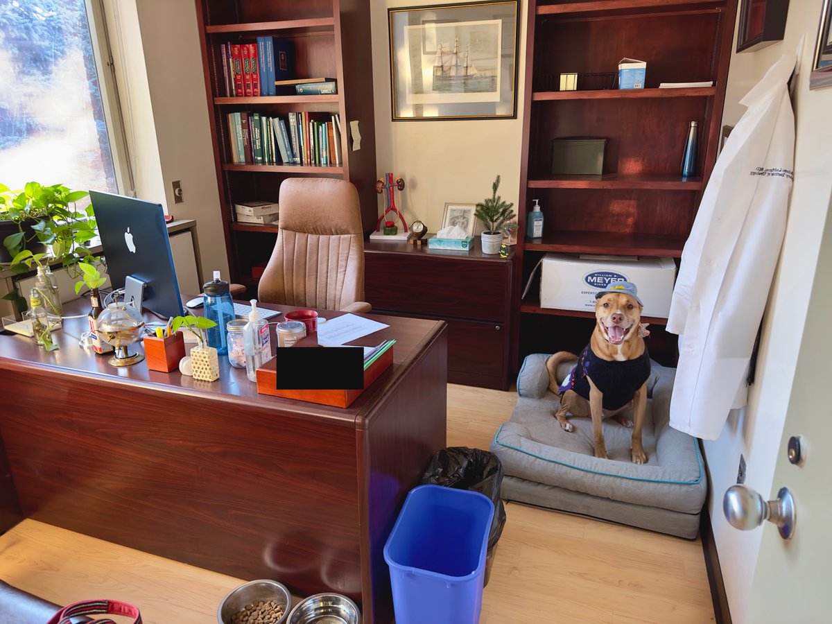 Adam Ludvigson tweet media