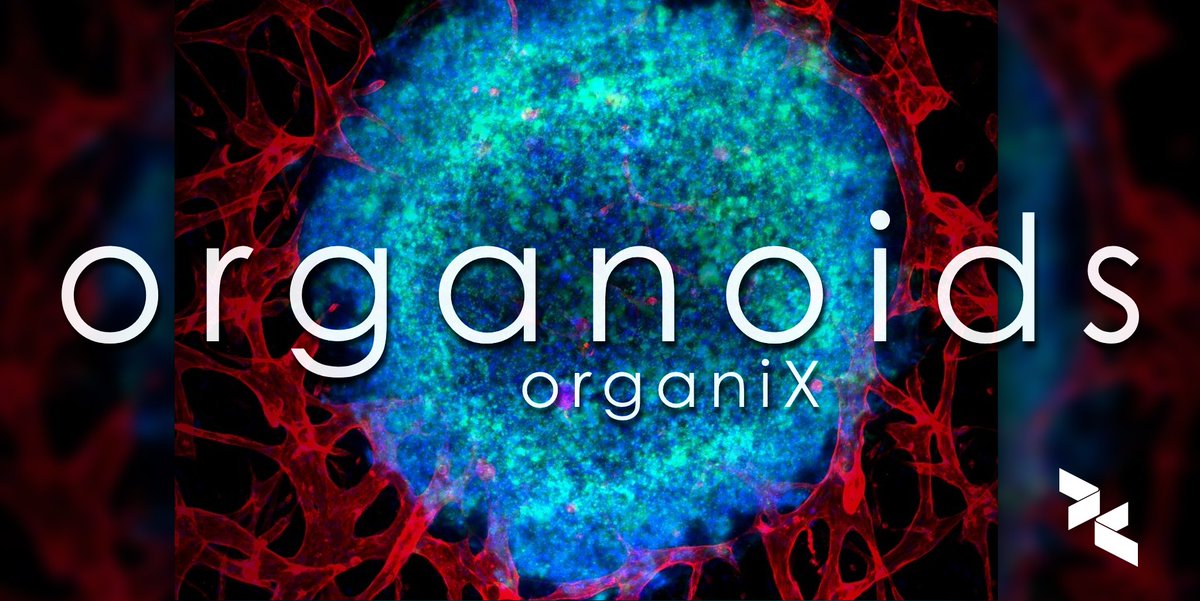 AIM Biotech tweet media