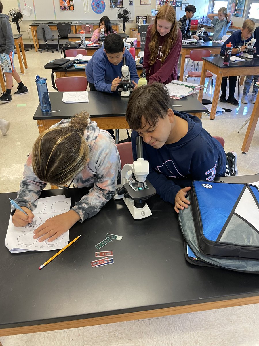 Jamiecarlino's tweet photo. These 6th grade scientists are becoming pros at using the microscope!!  #isliprising #islippride @IslipMS https://t.co/0FGwrClsnr