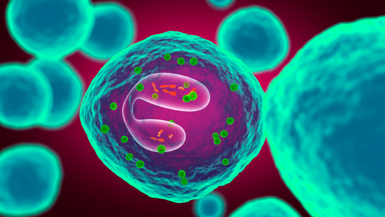 john51913288's tweet photo. Registration is now open for Immunology Conference 2023
Hurry!! limited number of slots available
Abstract submission deadline - October 11, 2022
🔗:https://t.co/fdlgkyT5Sb
📞+44-7897073589
#37congress #immunology2023 #immunity #immunoscience #immunotherapy #immunedisorder https://t.co/1qOCyG87Bs