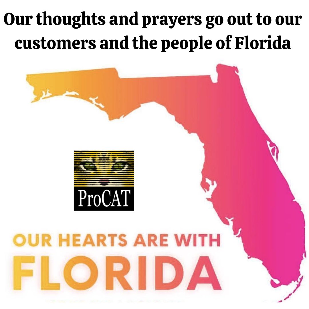 TheProCAT's tweet image. 