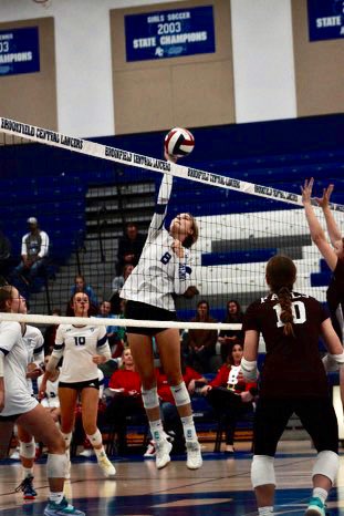 Stephanie Sutton tweet media