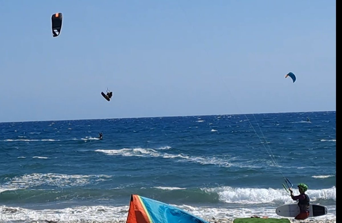 PapaFish tweet media