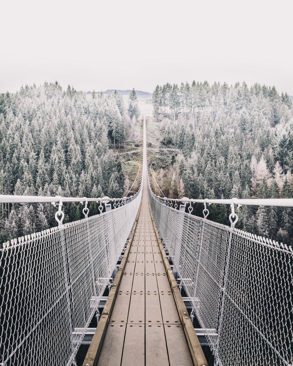 Archillect (@archillect) on Twitter photo 