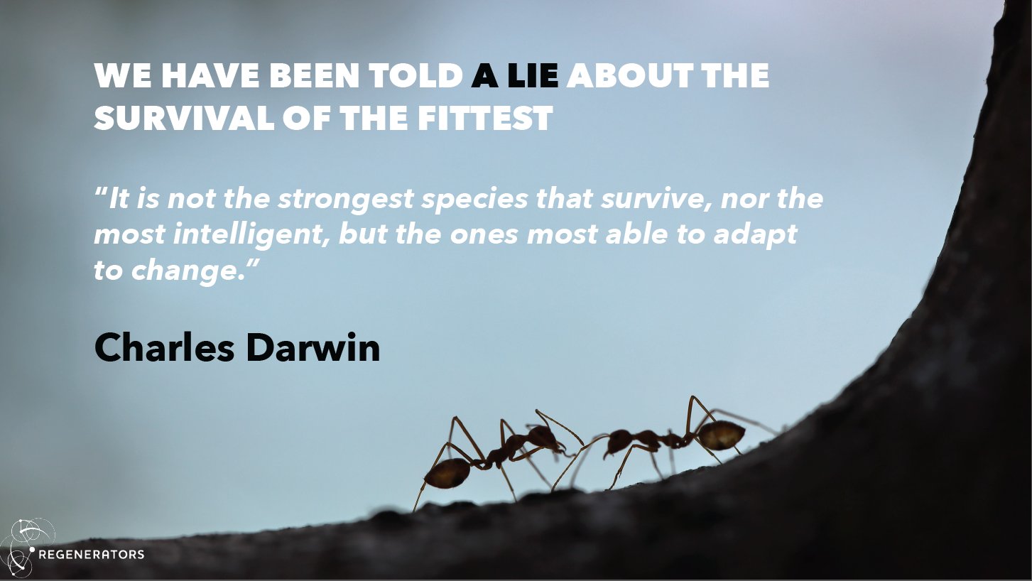 Survival of the Fittest, Only the Strong Survive - Fact or Myth?