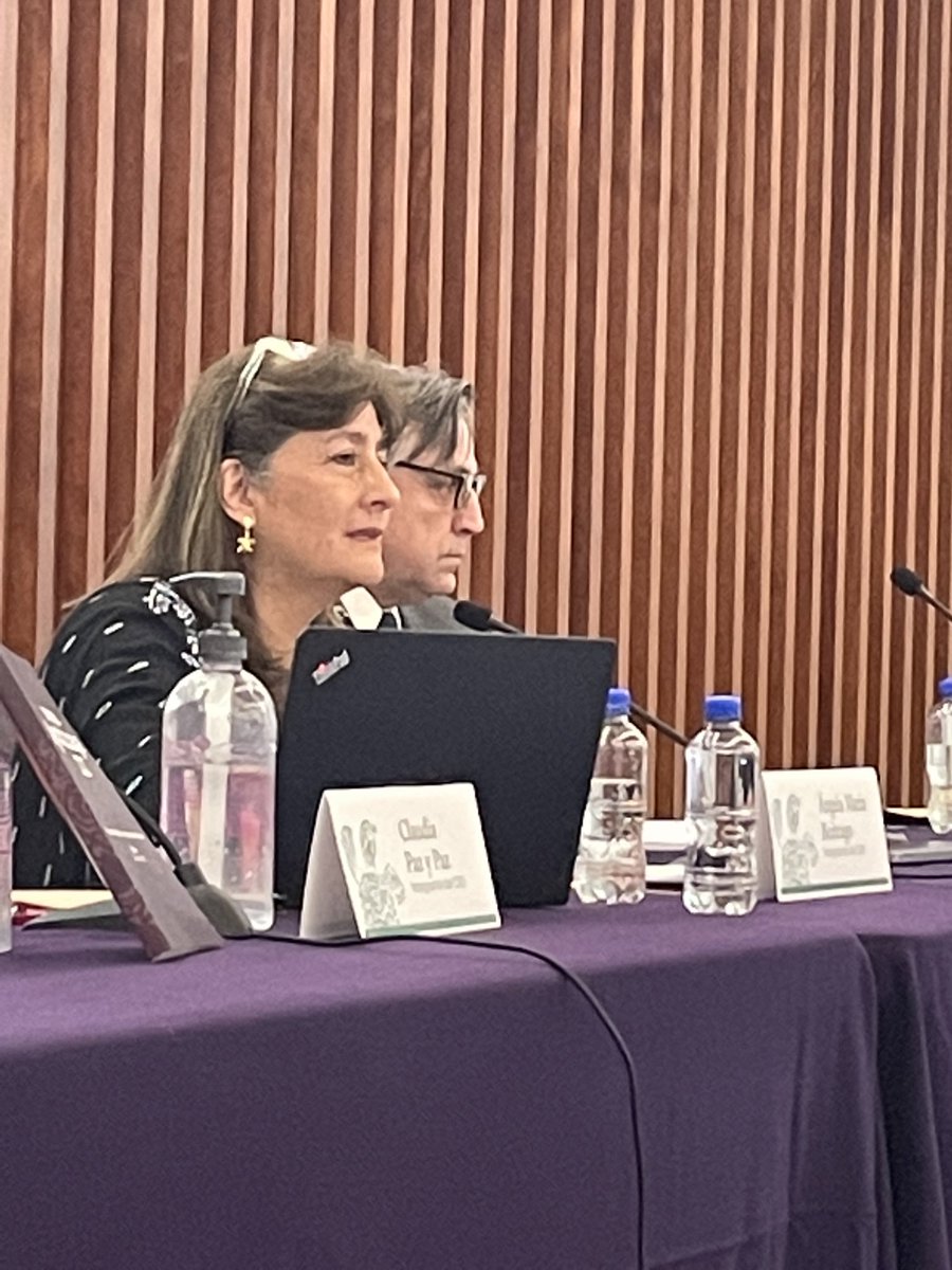 GIEIAYOTZINAPA's tweet photo. Es necesario que se entregue la evidencia que no se ha proporcionado a la investigación por parte del Comando Iguala Norte que hace a grupos delictivos y otros sectores: Ángela Buitrago. https://t.co/o1nr3yjV3L