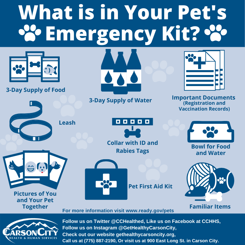 Your pets are also part of your legacy! Add these items in your emergency bag in case you need to evacuate with your four-legged buddies:
🐾A selfie with them in case you get separated.
🐾Medicine & grooming items.
🐾Collar with an ID & a leash.
#NPM2022