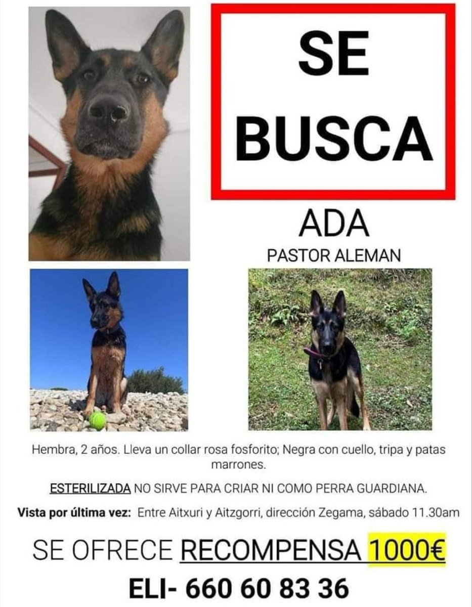 YolandaC4's tweet image. #ayuda a que vuelva a casa