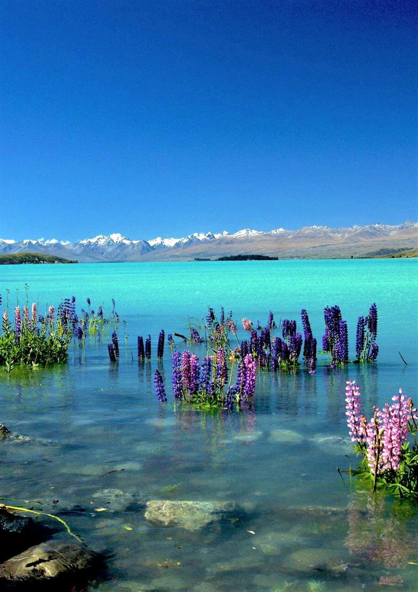 koliberki's tweet photo. 💫  Lake Tekapo-New Zealand
#NaturePhotograhpy https://t.co/SjBUefpR6G