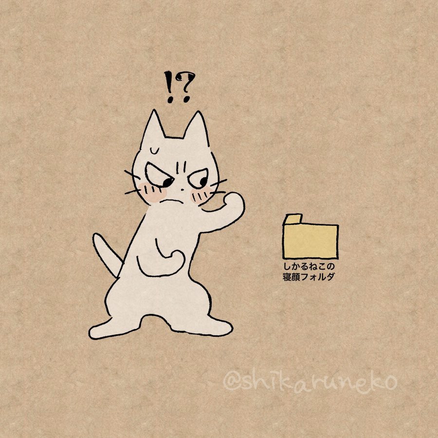 #推しの写真で10RTめざせ見た人もやれ
沢山いて迷うがしかる🐱さんで!このツンデレ感たまらん。体のラインも可愛すぎる… 