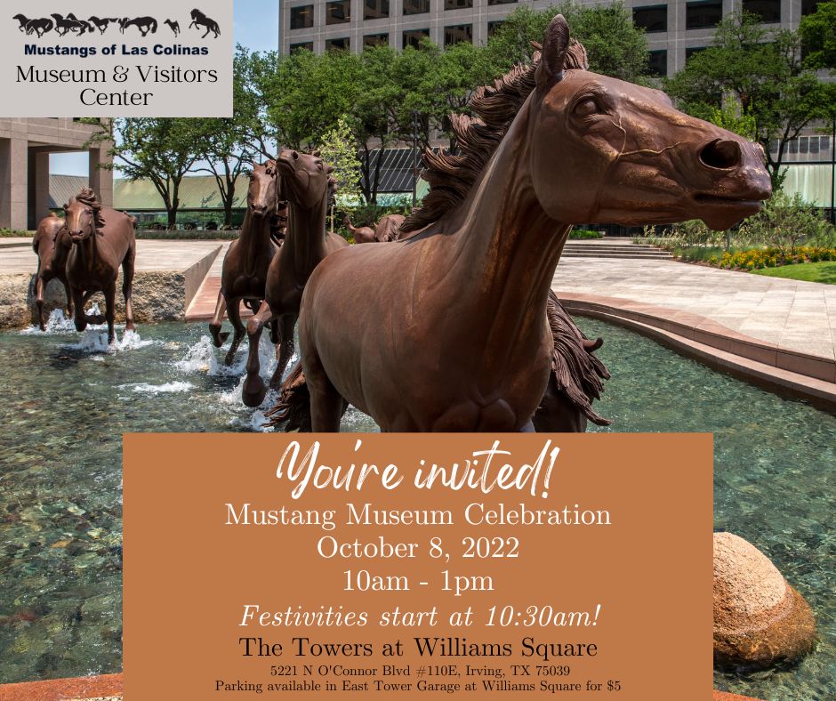 Mustangs of Las Colinas tweet media