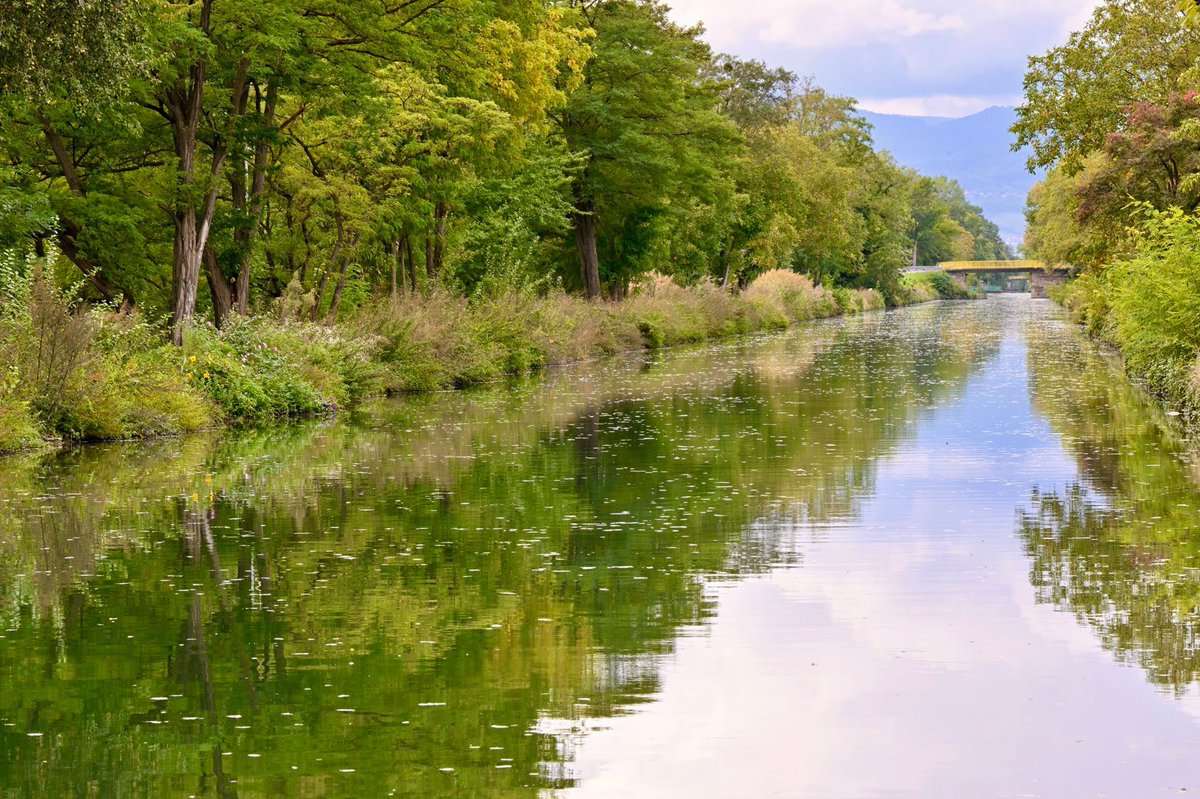 Jean ROTTNER tweet media