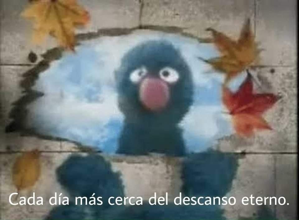 ||Amber luego de romper el arco: