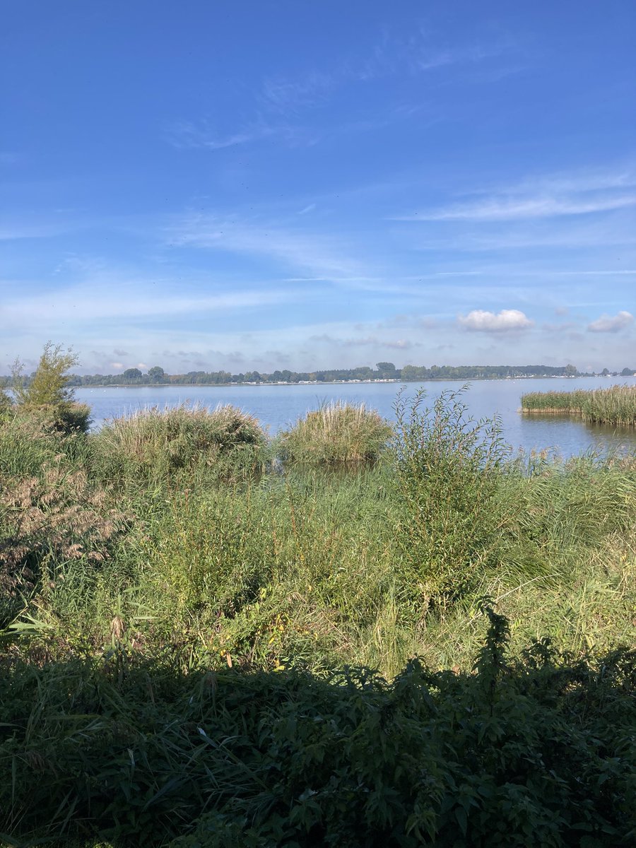 marlousverbeek's tweet photo. Had vandaag de állerlaatste vergadering als lid van het DB van de @gvrandmeren 
Een goede en constructieve vergadering, met plannen en projecten voor de toekomst van de mooie Randmeren en we brachten een bezoekje aan twee projecten.
Succes Rita Braam en alle nieuwe bestuursleden! https://t.co/j5egLwqrWR