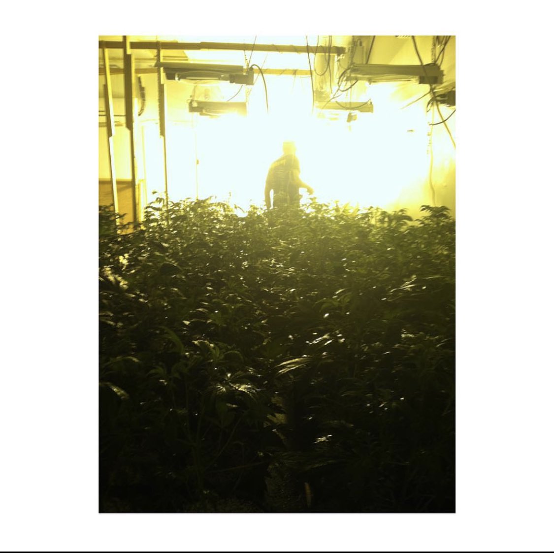 BluTreeOfficial's tweet image. 