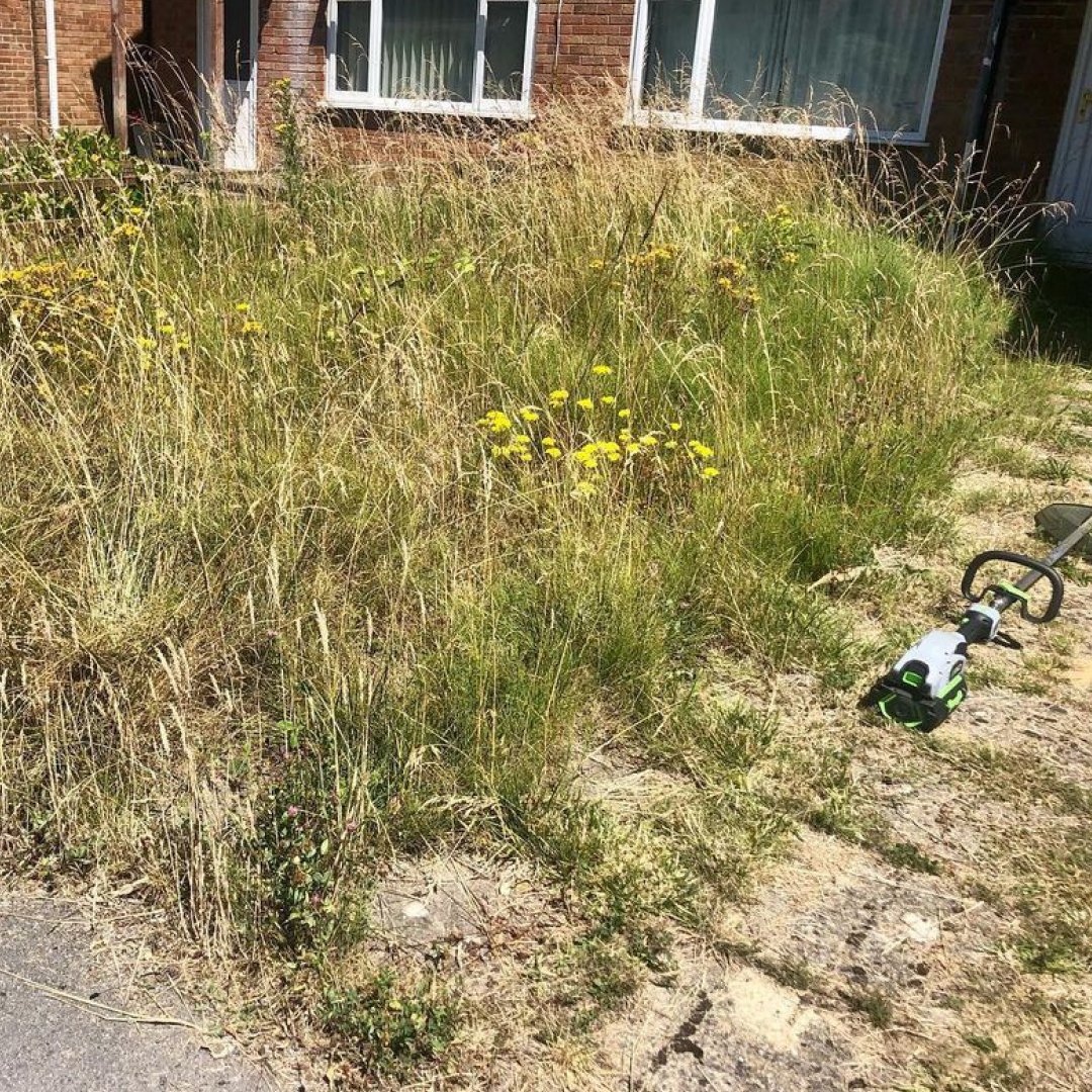 EGOpowerplusEU's tweet photo. Q: How powerful is an EGO Line Trimmer?
A: Very! Thanks for the visuals @goodtogrowgardening 🔋⚡
#ego power #linetrimmer #batterypowered https://t.co/FECq8lj4H1