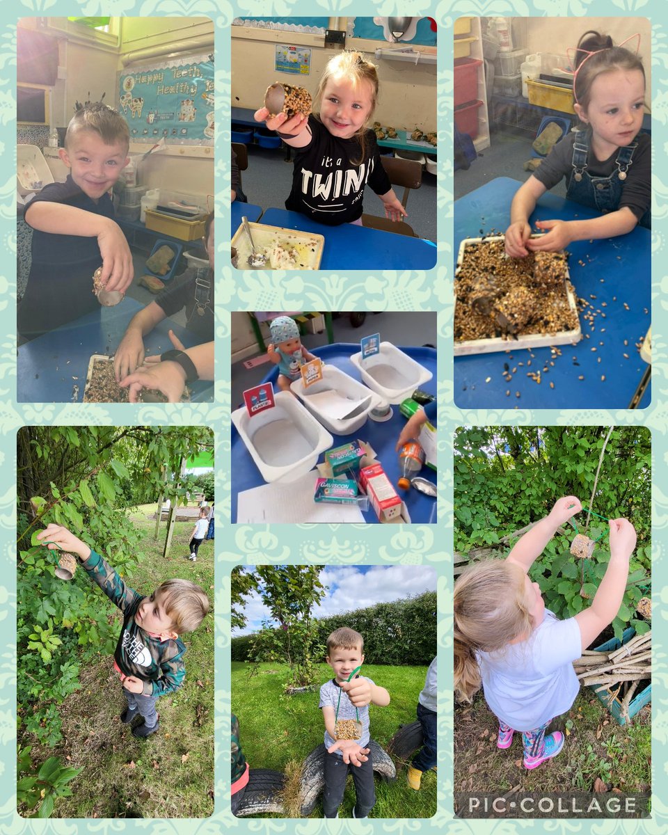 Blaenymaes Primary tweet media