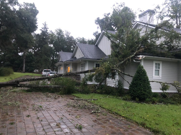 News4JAX on Twitter "News4JAX has received multiple reports of trees