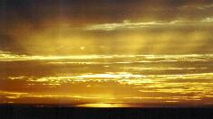 Speaking of #STEM #Equity: "You can't assume that just because we're 40 min from the beach that (our Title I) students have been to the beach" via @CeliadelaLoza at <a href="/ca_csp/">CA Science Project</a> Directors Mtg

#STEMEd #scienceLiteracy #Diversity #DEI #STEMDiversity