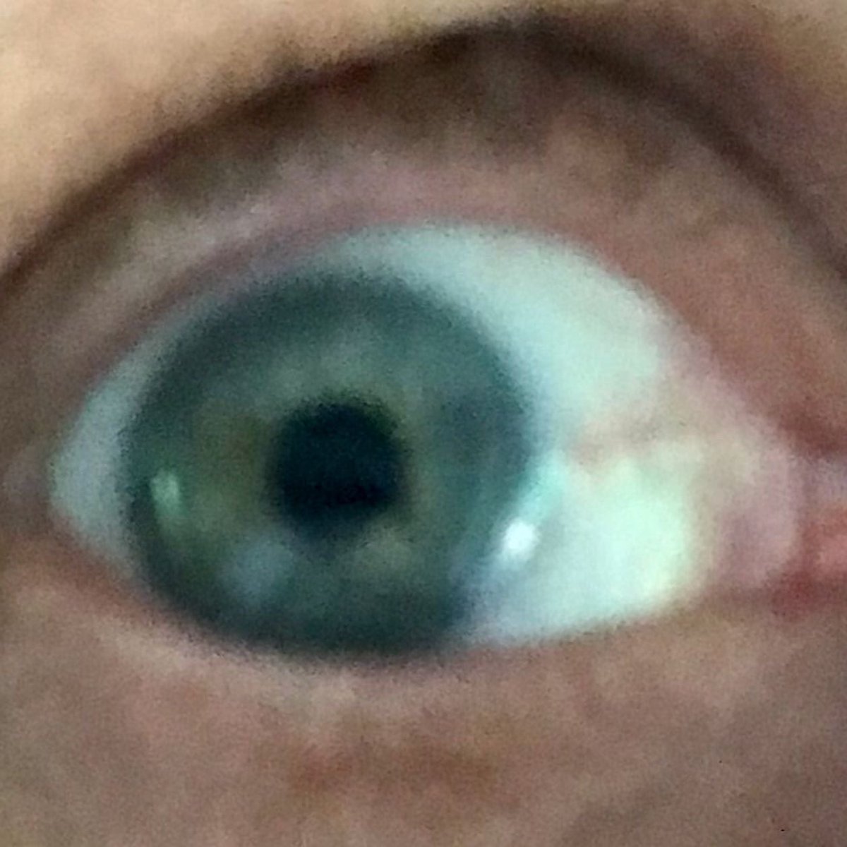 thefilmcritic1's tweet image. Day 271 - New Experience - Thought it would be interesting to try #contactlenses how weird it is to poke your eyeball 👁 quite impressive, not sure if I’d do that everyday! 😂 #bootsopticians #berko